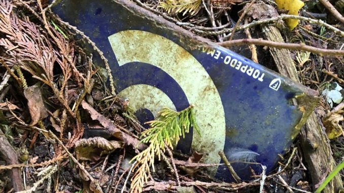 Auch heute gibt es noch vergrabene Schätze: Schilderfund an der Mosel – Bild 4
