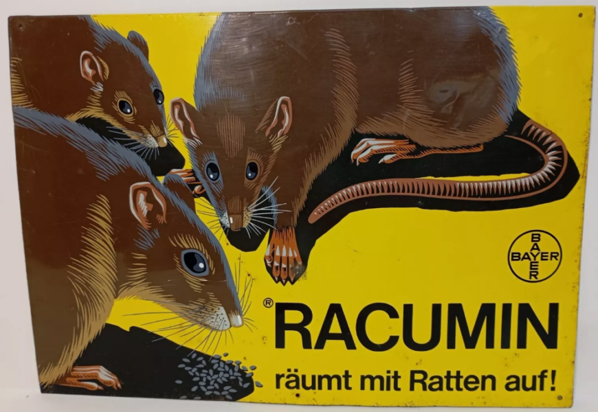 Gelbe Vintage Werbung fuer Racumin mit drei abgebildeten Ratten auf schwarzem Untergrund. Eine Ratte frisst kleine blaue Pellets. Der Text lautet Racumin raeumt mit Ratten auf, rechts das ikonische Bayer Logo. Die Used Optik verleiht diesem Rattengift Blechschild vor dem leuchtend gelben Hintergrund einen authentischen Charme.
